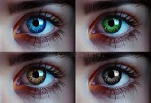 Facts About Eye Color