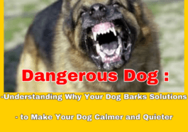 dogs barking