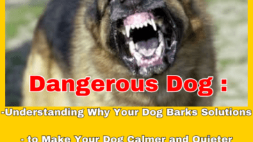 dogs barking